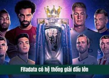 Hệ thống giải đấu tại Fifadata: Từ World Cup đến giải cỏ